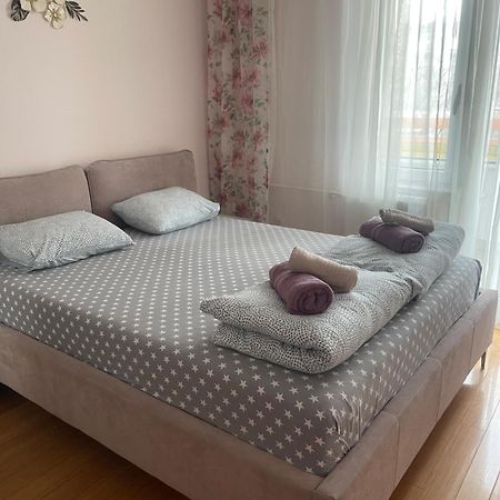 Apartment Elefant 021 Novi Sad Dış mekan fotoğraf