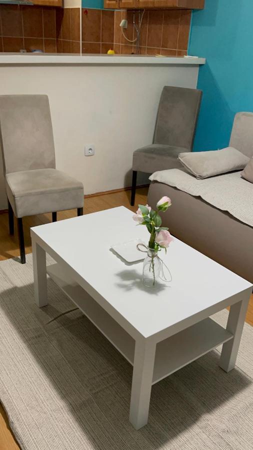Apartment Elefant 021 Novi Sad Dış mekan fotoğraf